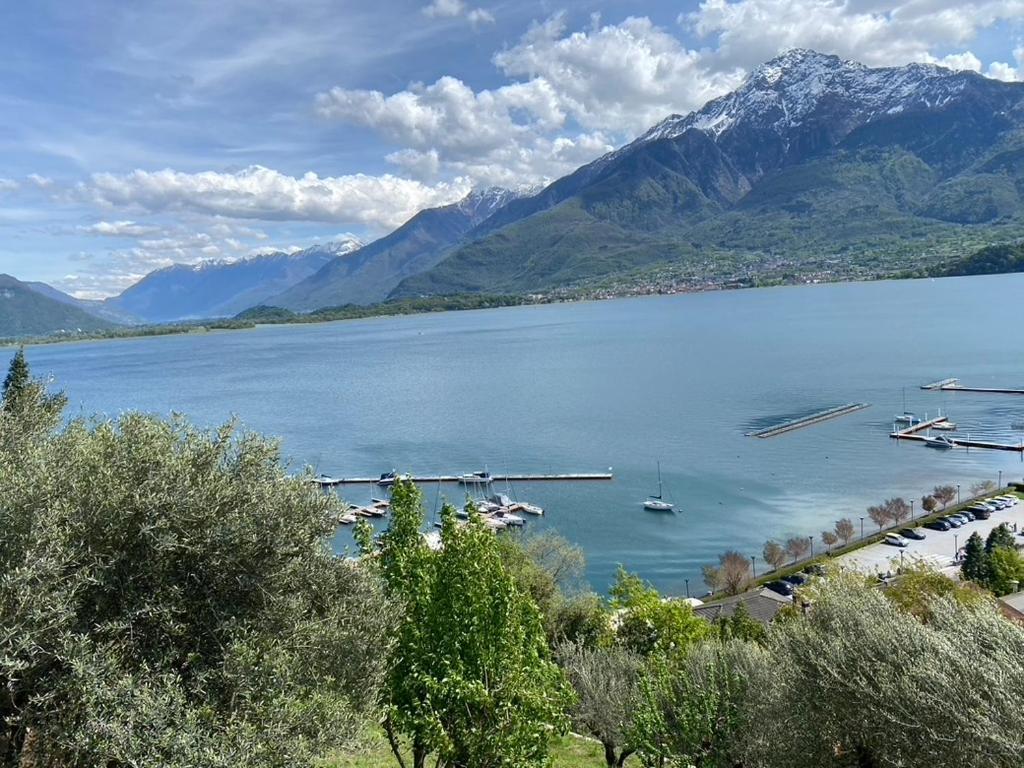Rustico Dei Vini