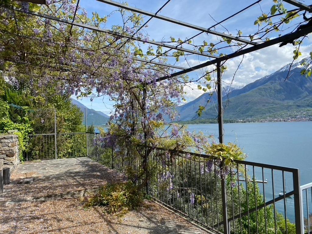 Rustico Dei Vini Domaso